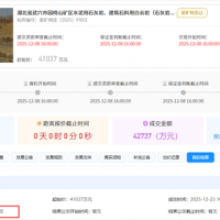 1.5元/噸！亞東水泥競得湖北武穴950萬噸/年砂石大礦